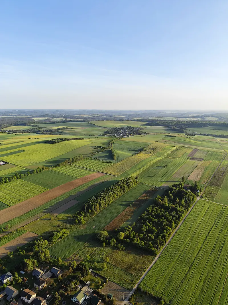 Widok podczas lotu balonem